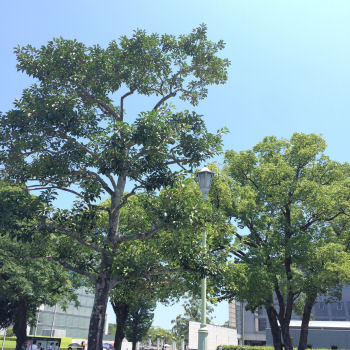 高校2