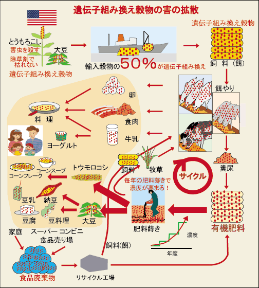 idenshi-kumikae-cycle.gif
