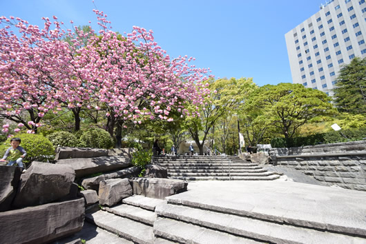 仙台散歩 4月26日 脱原発みやぎ日曜昼デモ 青葉若葉の輝く 杜の都 で 山行 水行 書筺 小野寺秀也 楽天ブログ