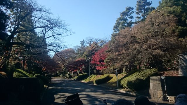 2014-12-06 13.05.04.jpg