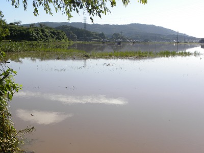 DSCN9373.jpg