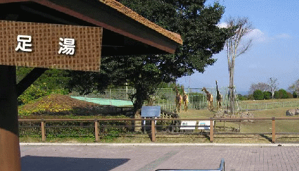 2012-0418-asiyu