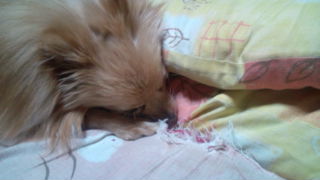 2012-02-24 14:26:12