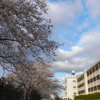 学校