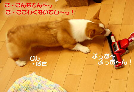 020903.jpg