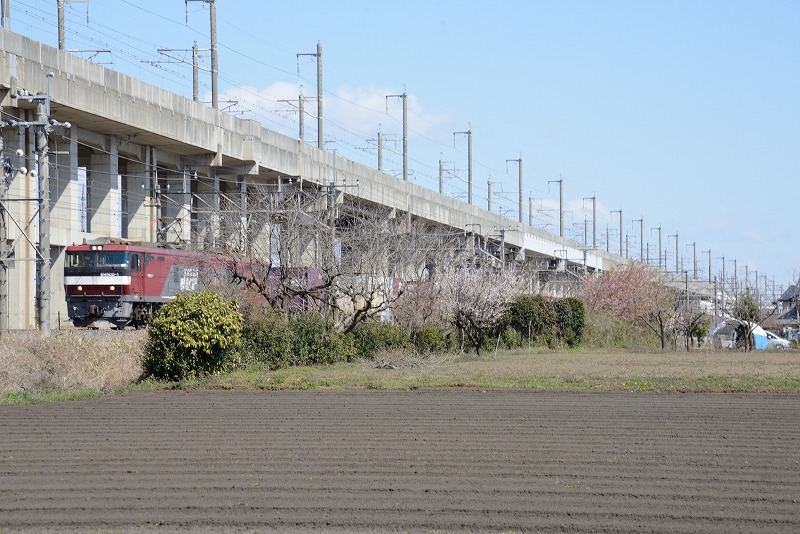 宇都宮線小金井駅界隈にて | 気になる広場 - 楽天ブログ