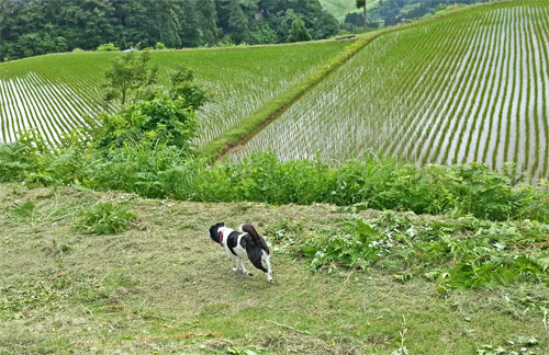 2012.7.2-5.jpg
