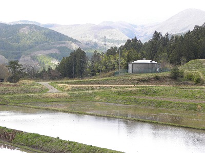 DSCN3587.jpg