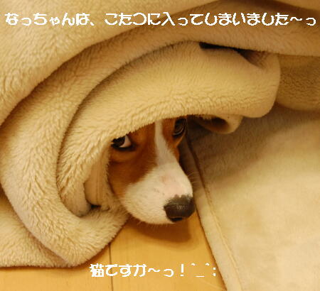 030408.jpg