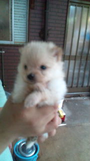 20110512155043.jpg