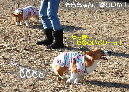 020505.jpg
