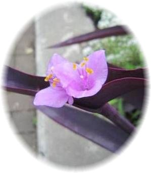 IMG_7322@.jpg