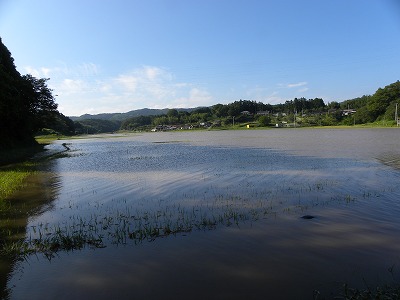 DSCN9405.jpg