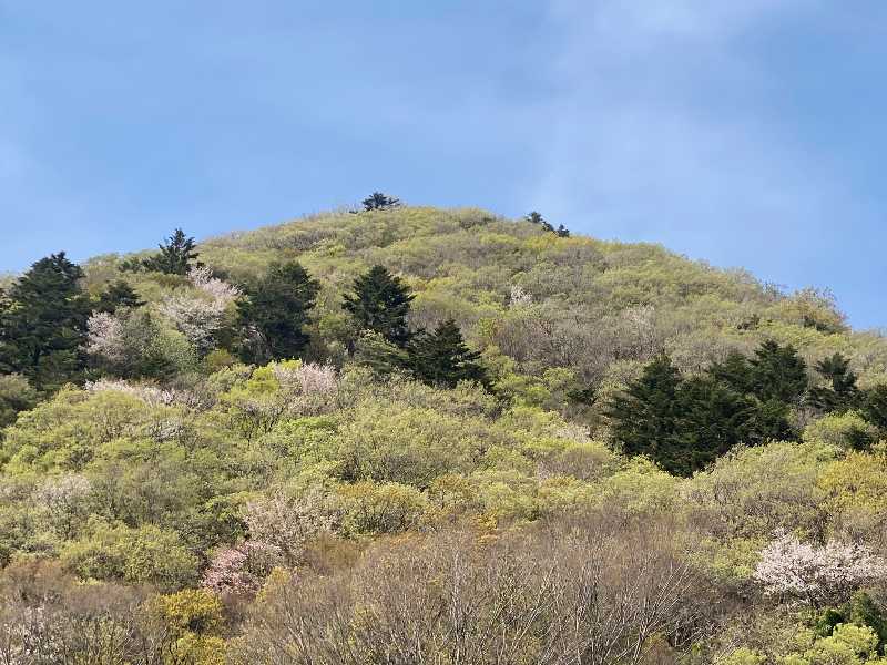 醍醐山と下部（しもべ）温泉