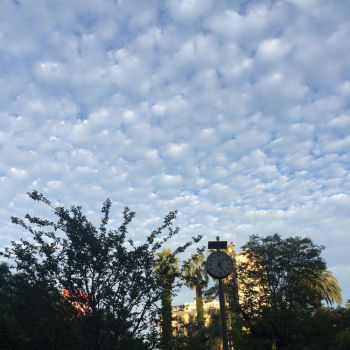 空