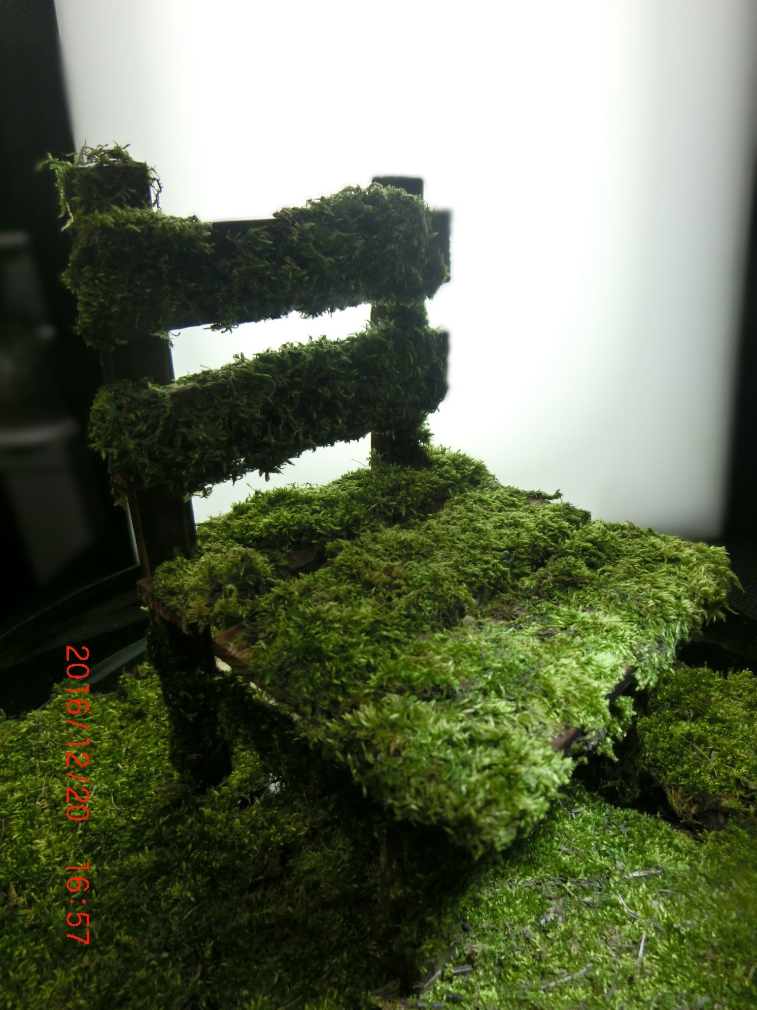 Moss Chairの作り方 苔こっこ 楽天ブログ