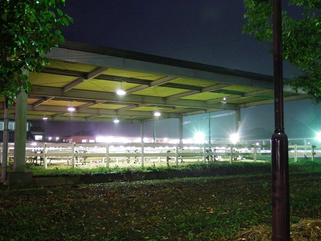 DSCF3310.JPG