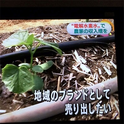 2016.6.10-2.jpg