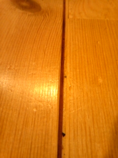 120331_001851.jpg