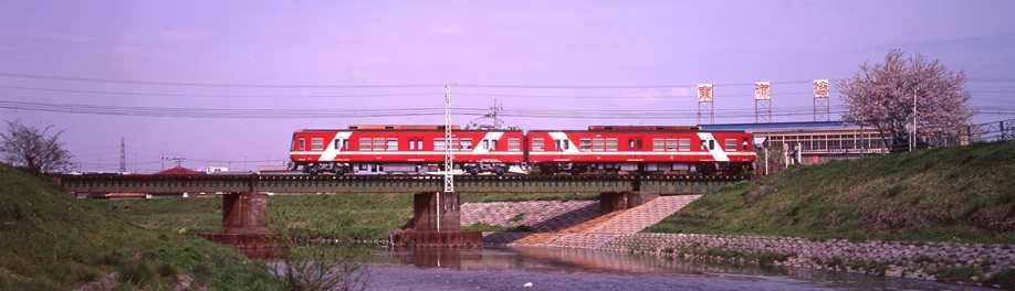 翌檜　「お暇便り」