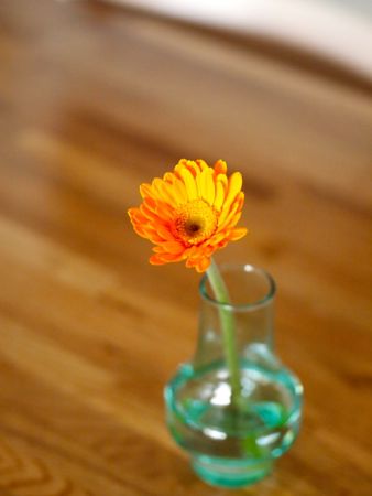 IKEAの花瓶 | つぼ - 楽天ブログ