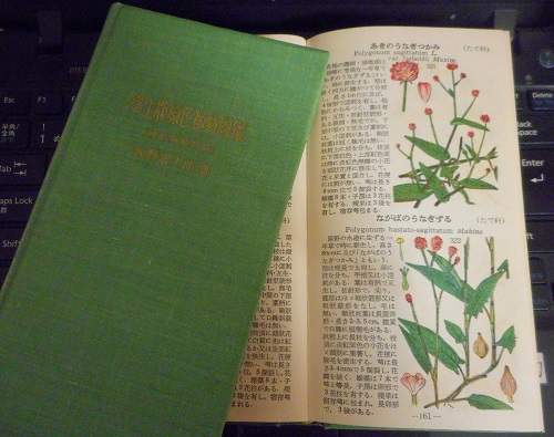 牧野植物図鑑 子供のころからの愛読書 写真俳句 Ryo 楽天ブログ