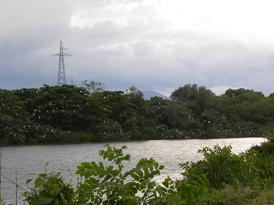 DSCN4189.jpg