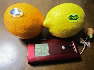 IMG_5409.jpg