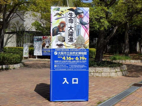 大阪市立自然史博物館：特別展 生命大躍進 脊椎動物のたどった道