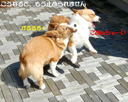 031308.jpg