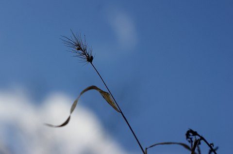 0208-1.jpg