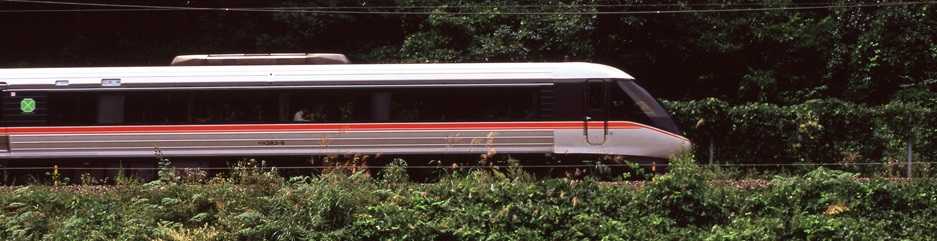 翌檜　「お暇便り」