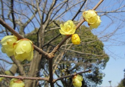 IMG_5202@.jpg