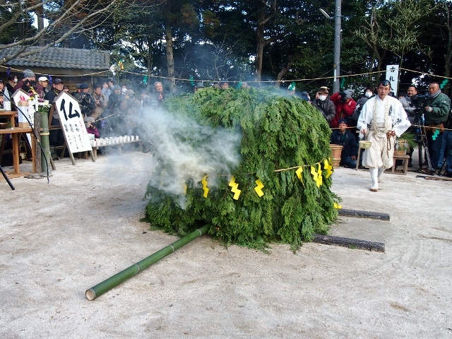 P2156223 (640x480).jpg