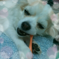rblog-20130724161253-01.png