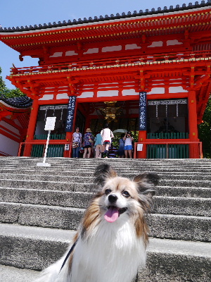 2012京都夏1−9.JPG
