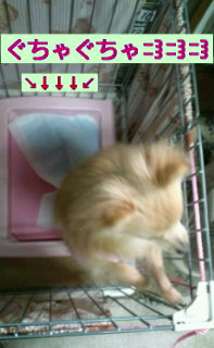 20120221184057.jpg