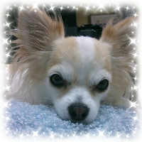rblog-20130724161256-02.png