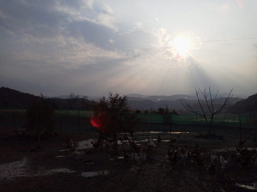 夕方.jpg