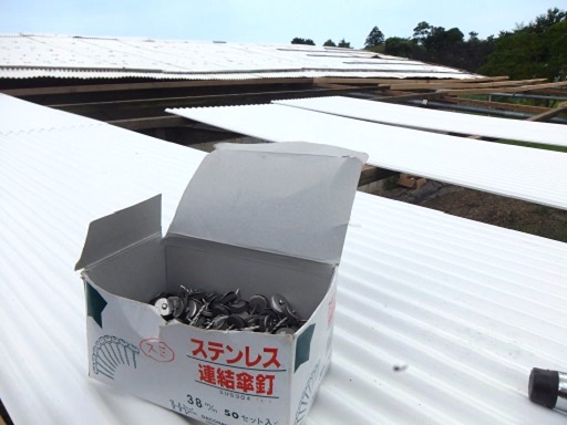屋根とんとん.jpg