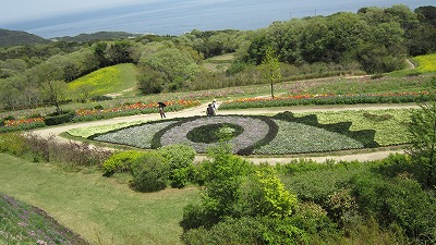 IMG_6542.jpg