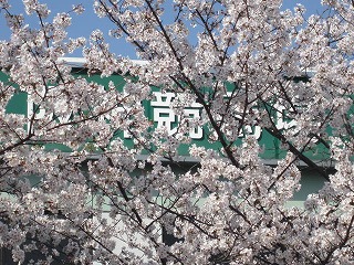 IMG_5931.jpg