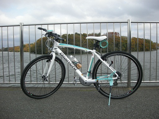 カメレオンテ2 - 自転車