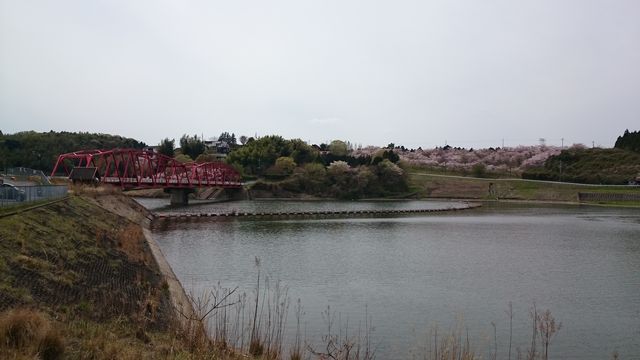 2016-04-10 12.44.51.jpg