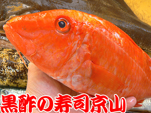 千代田区 宅配寿司 神田美倉町.jpg