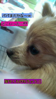 2012-02-19 13:13:20