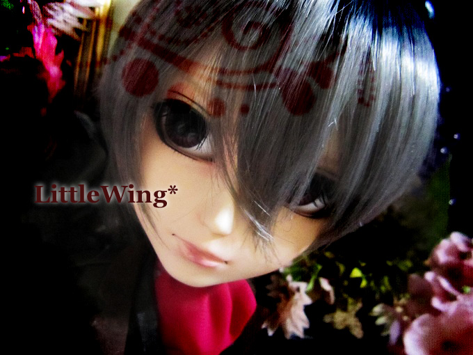 LittleWing+カスタムテヤン [巽] | LittleWing - 楽天ブログ