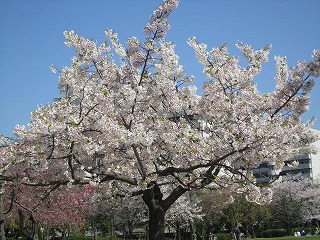 IMG_5913.jpg