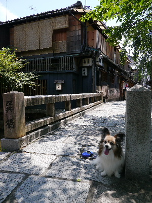 2012京都夏1−6.JPG