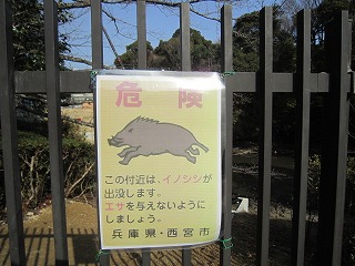 IMG_5214.jpg